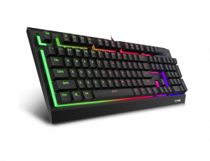 ② Clavier gamer - VPRO V500S - RAPOO - filaire (USB) - TKL — Claviers —  2ememain